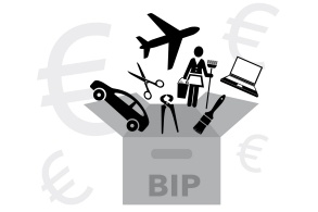 Illustration zeigt einen Karton, in den Güter wie Autos, Werkzeuge, aber auch eine Putzfrau hineinfallen, im Hintergrund Eurozeichen.