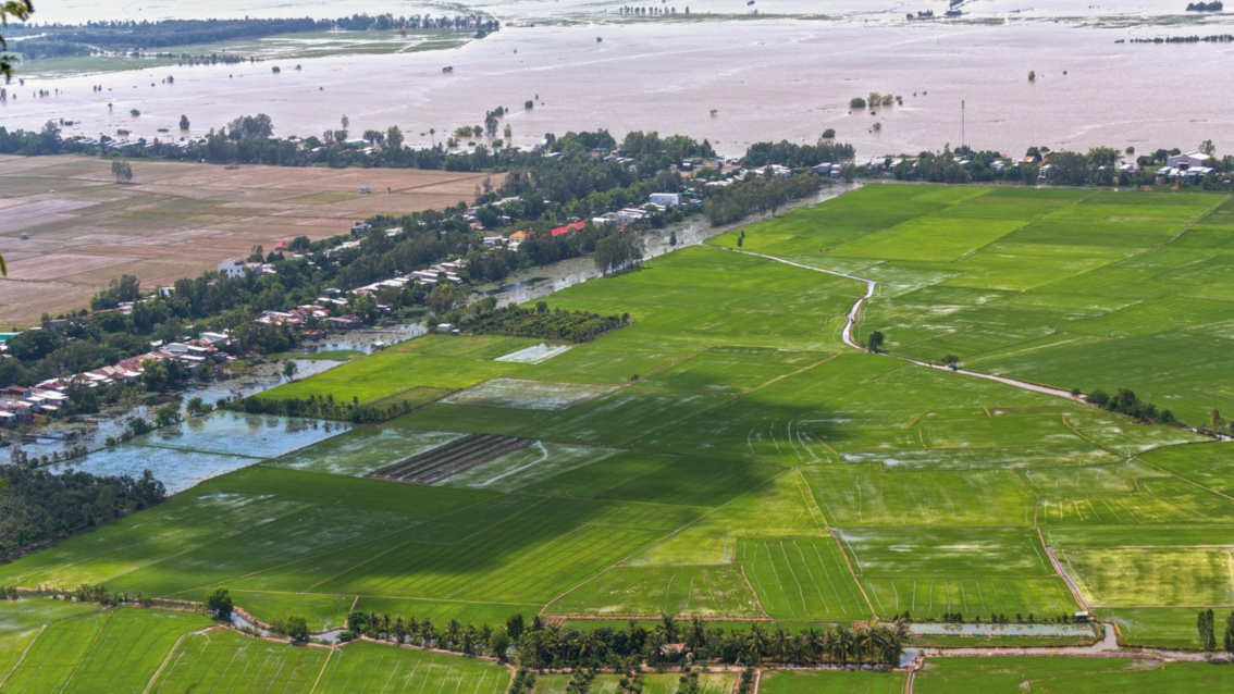 Eine Flußlandschaft gesäumt von überfluteten Feldern, aus der Luft fotografiert