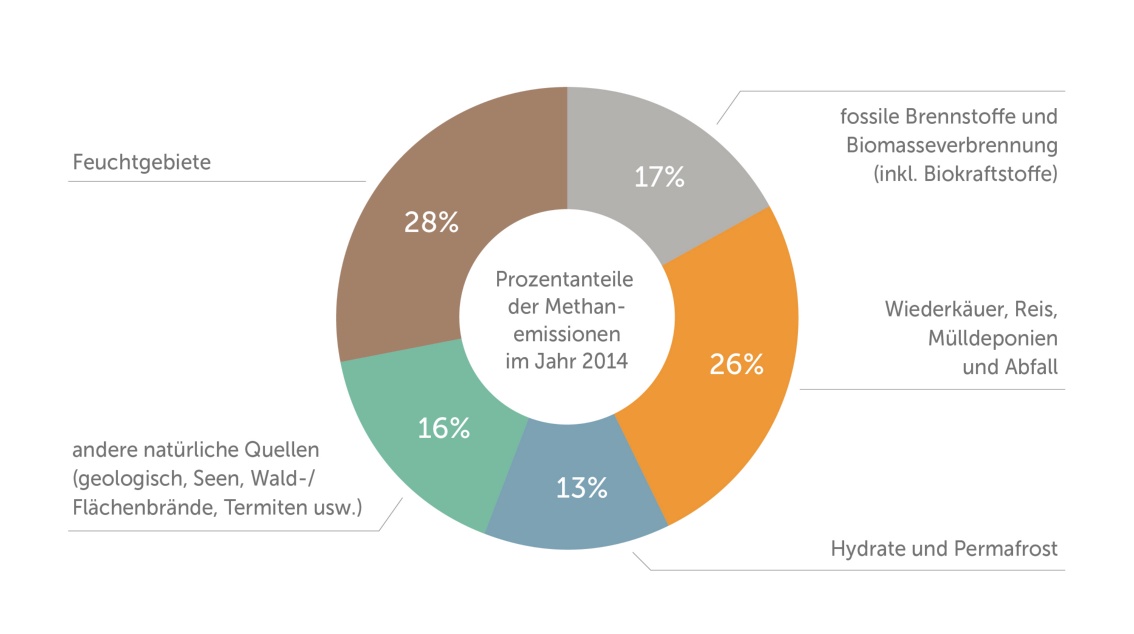 Ein Ringgrafik zeigt die Anteile verschiedener Quellen von Methanemissionen.