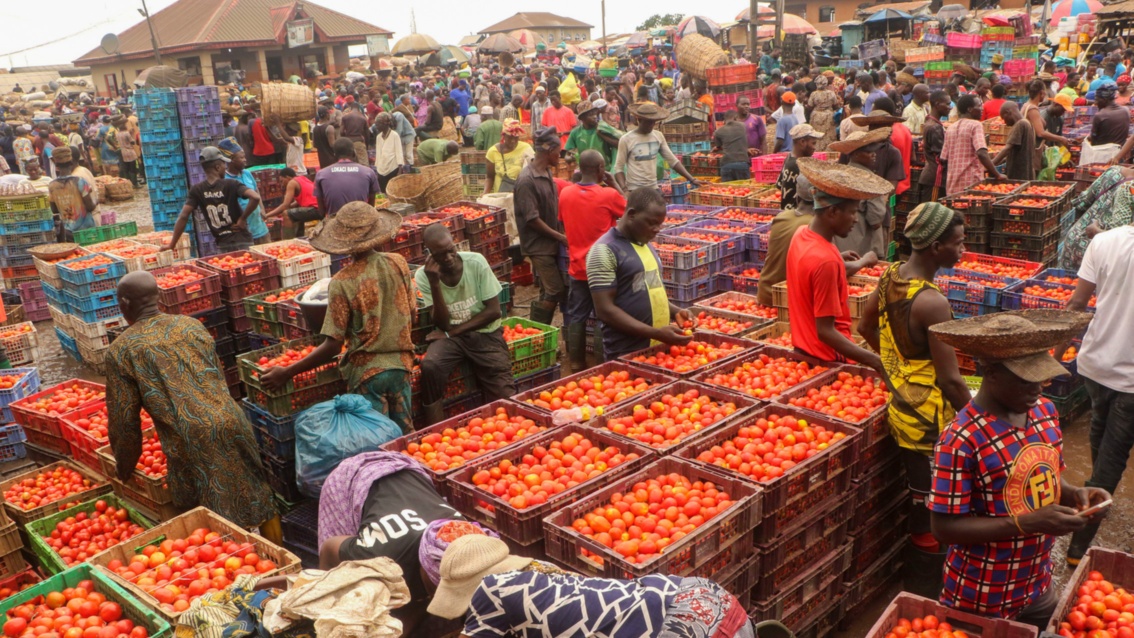 Auf einem weitläufigen Markt tummeln sich unzählige Menschen zwischen Körben voller Tomaten. 