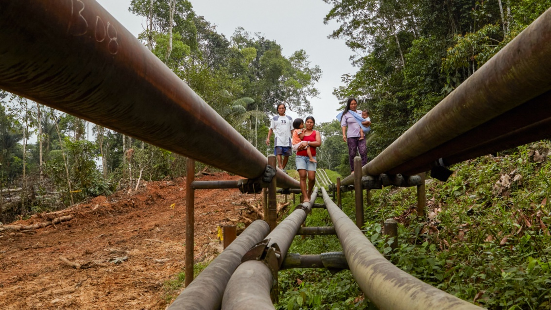 Mehrere Personen balancieren auf Pipelines, die durch eine gerodete Schneise im Regenwald verlaufen.