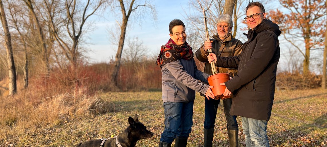 Drei Menschen halten einen Baumsetzling in den Händen.