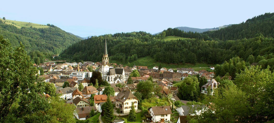 Blick auf die Stadt Schönau