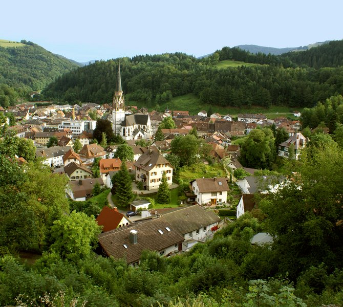 Blick auf die Stadt Schönau