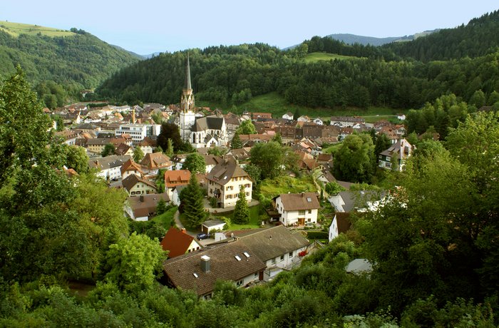 Blick auf die Stadt Schönau