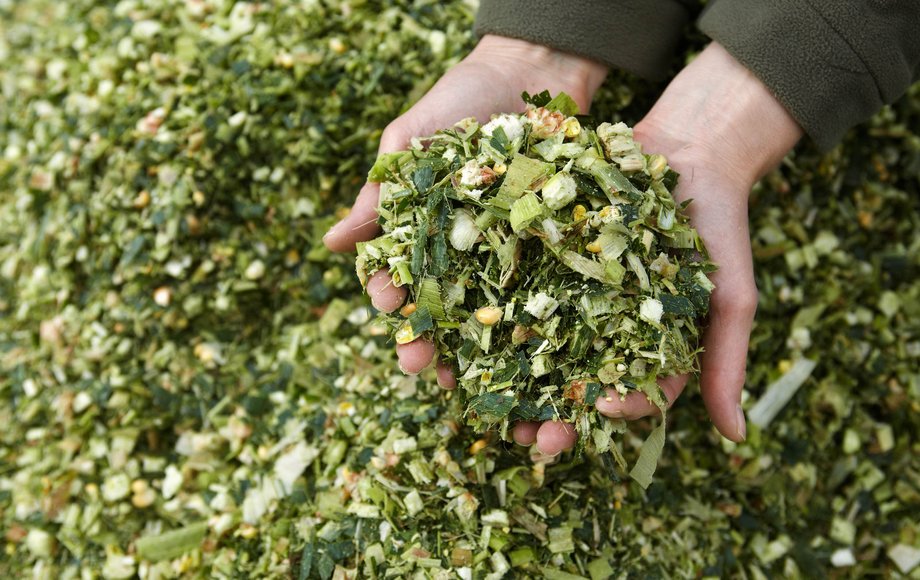 Zwei Hände halten gehäckselten Grünschnitt