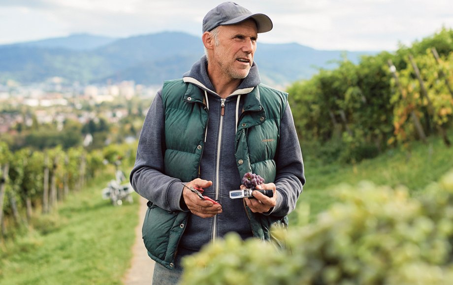 Andreas Dilger im Weinberg