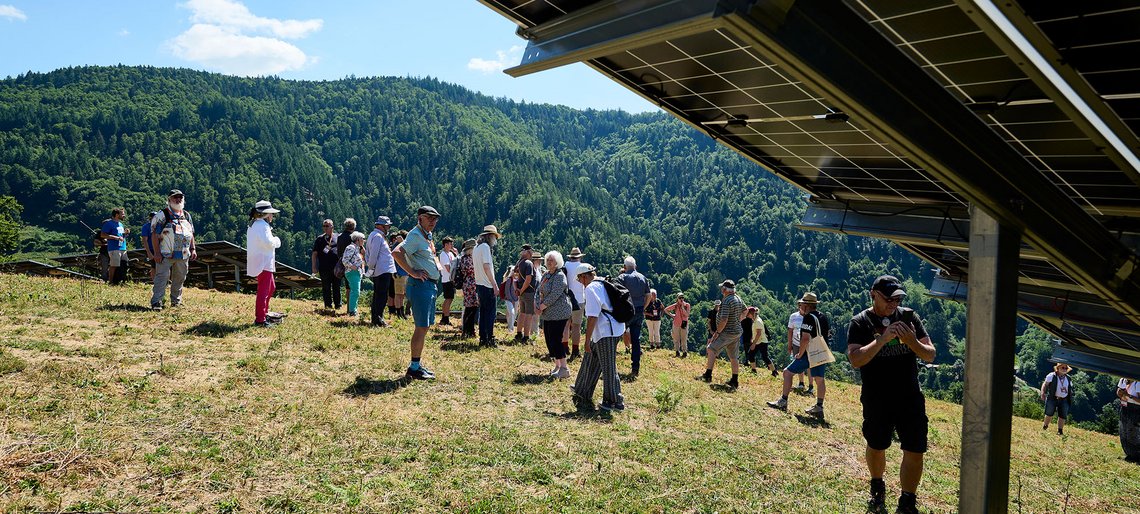Führung durch den Solarpark