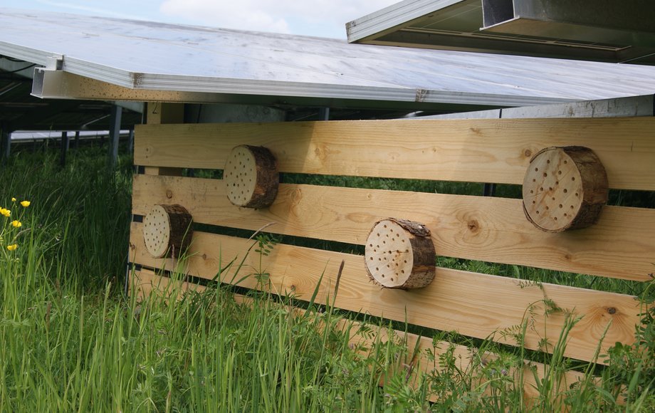 Holzgerüst mit Bienenhotel unter Solarpaneel