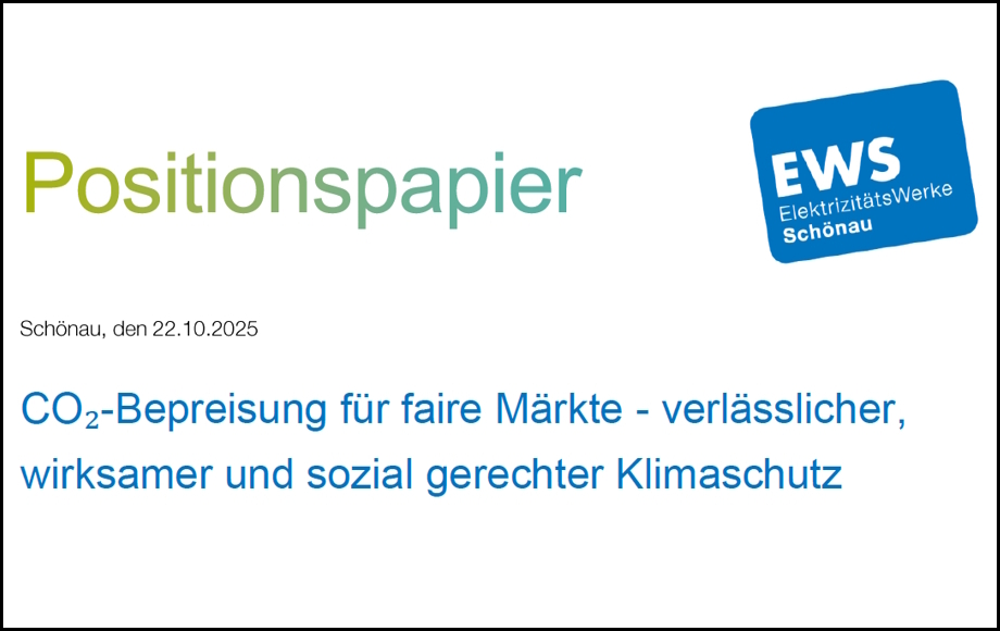 Zu sehen ist ein Auszug aus dem EWS-Positionspapier zur CO2-Bepreisung.