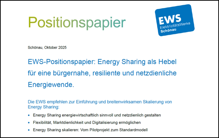 Zu sehen ist ein Auszug aus dem EWS-Positionspapier zum Energy Sharing.
