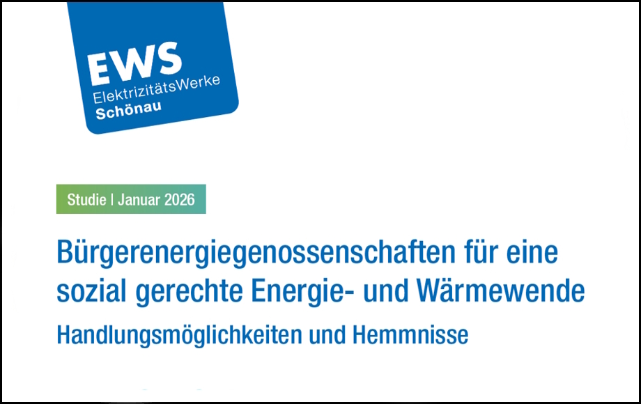 Zu sehen ist ein Auszug des Titelblatts der Genossenschaftsstudie.