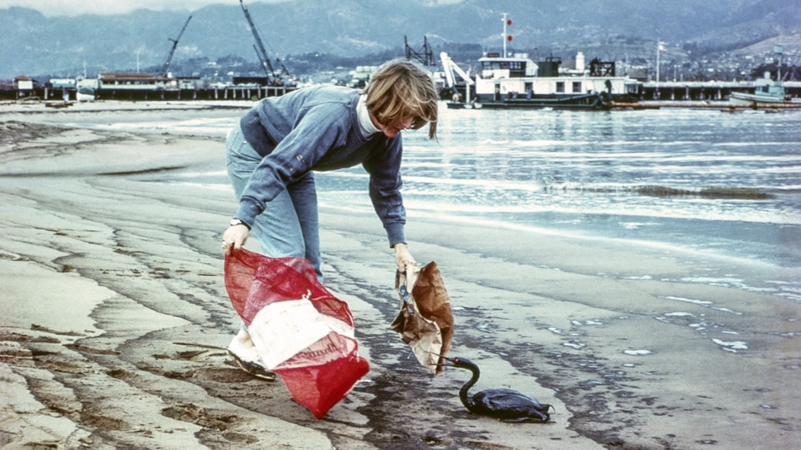 Eine Helferin nähert sich nach der Havarie einem ölverklebtem Vogel, der am Meerufer sitzt.
