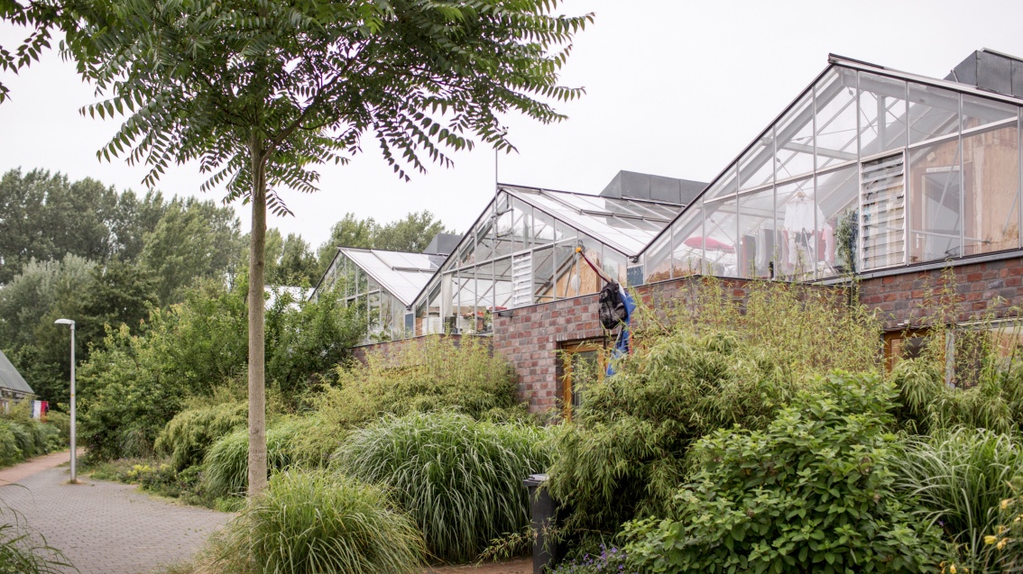  An einem dicht buschbewachsenem Hang oberhalb einer Straße steht eine Wohnanage mit einem Dreigiebeldach aus Glas.