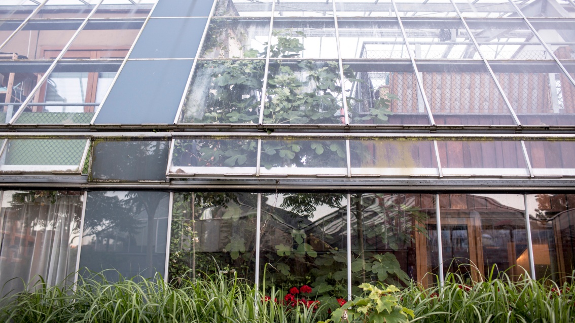 Hinter einer spiegelnden Glassfassade sind Innenwände Vorhänge und fast haushohe Pflanzen zu erkennen.