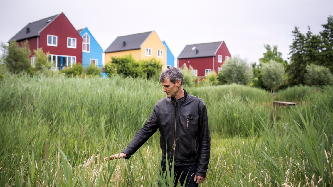 Ein Mann in schwarzer Lederjacke deutet auf Schilfpflanzen, den Hintergrund säumen Giebelhäuser in kräftigen Farben.