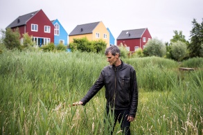 Ein Mann in schwarzer Lederjacke deutet auf Schilfpflanzen, den Hintergrund säumen Giebelhäuser in kräftigen Farben.