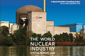 Cover der Studie, ein Atomkraftwerk am Fluß bei blauen Himmel