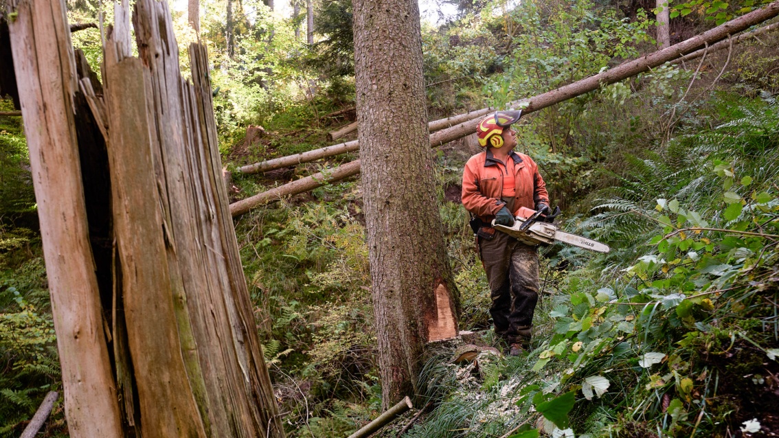 Ein Waldarbeiter in Sicherheitskleidung und Helm steht mit einer Kettensäge am Hang.