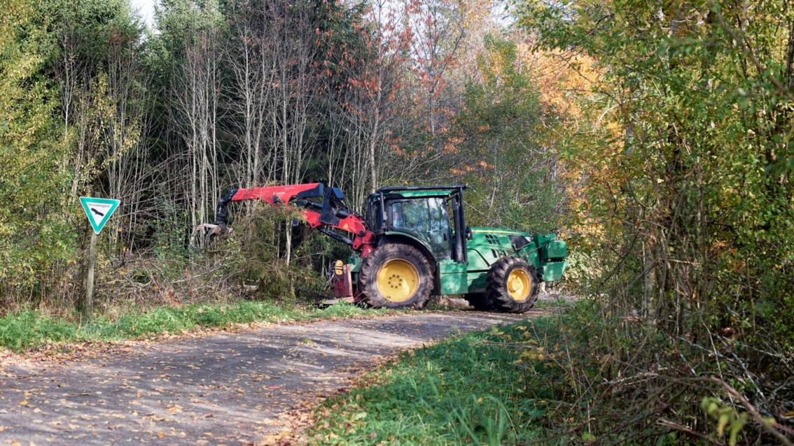 Ein Traktor auf einem Waldweg bei Sonnenschein im Herbst.