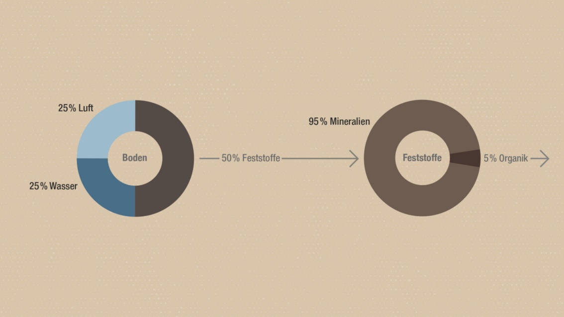 Die Grafik zeigt den Bodenbestandteile in Prozent; von den 50 % Feststoffen, aus denen der Boden besteht, sind lediglich 5 % organischer Natuur, der Rest besteht aus Mineralien.