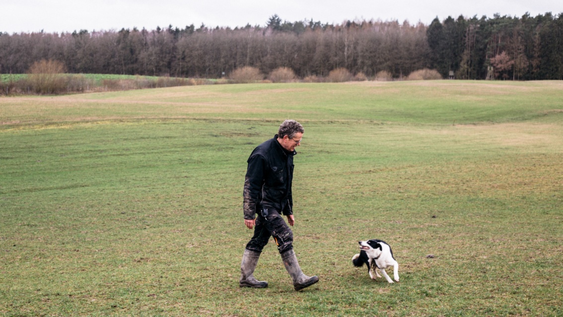 Auf einer großen winterlichen Wiese läuft ein Mann mit einem Hund.