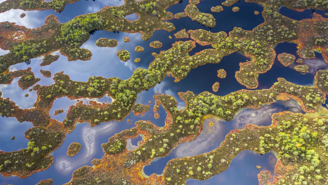 Eine Wasserlandschaft durchsetzt mit grüner Vegetation, von oben fotorafiert.