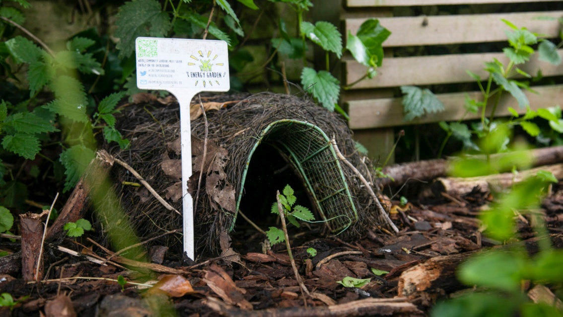 Eine kleine Behausung aus Draht und darüber liegenden Ästen im Unterholz des angelegten Gartens