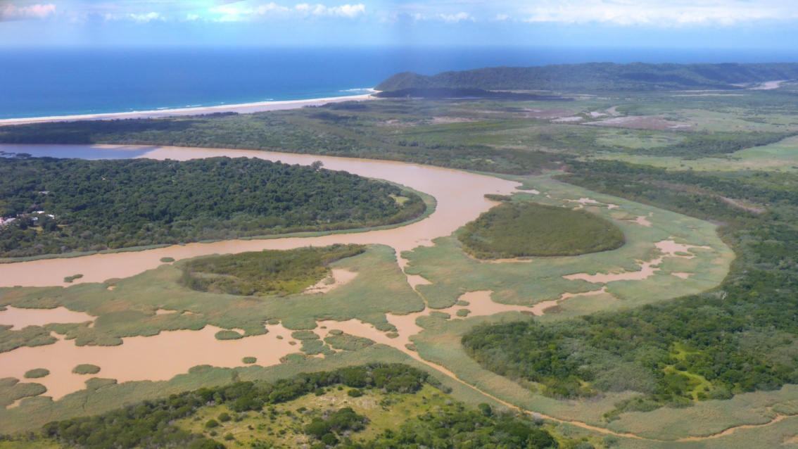 Eine Luftaufnahme zeigt eine Flussmündung mit Mangrovenwäldern und Seegraswiesen