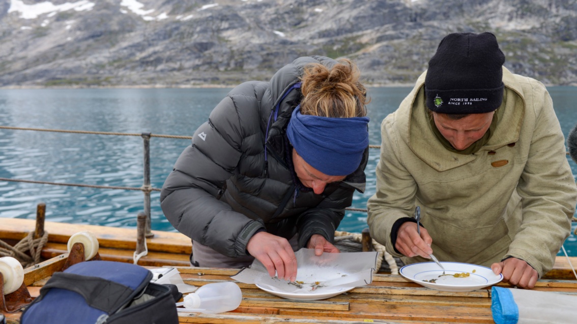 Zwei Frauen stehen auf dem Schiffsdeck und untersuchen mit Lupen und Pinzetten kleine organische Teile, die auf Tellern liegen.