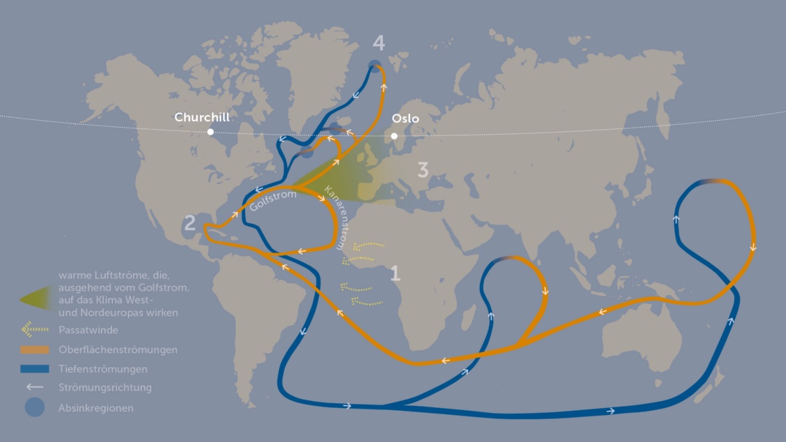 Die Grafik zeigt die Weltmeere und Kontinente und zwei Möbiusschleifen ähnliche Linien, die in Blau Tiefen- und in Orange Oberflächenmeereströmungen bezeichnen.