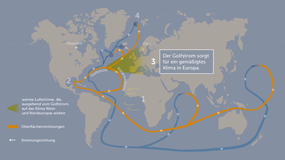 Erneut dieselbe Grafik mit dem Text: »Drittens: Der Golfstrom sorgt für ein gemäßigtes Klima in Europa.