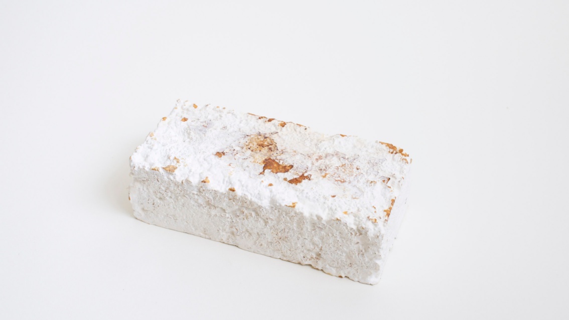 Ein weißer Myzelstein mit unregelmäßiger Oberfläche, der die Maße eines Ziegelsteins hat.