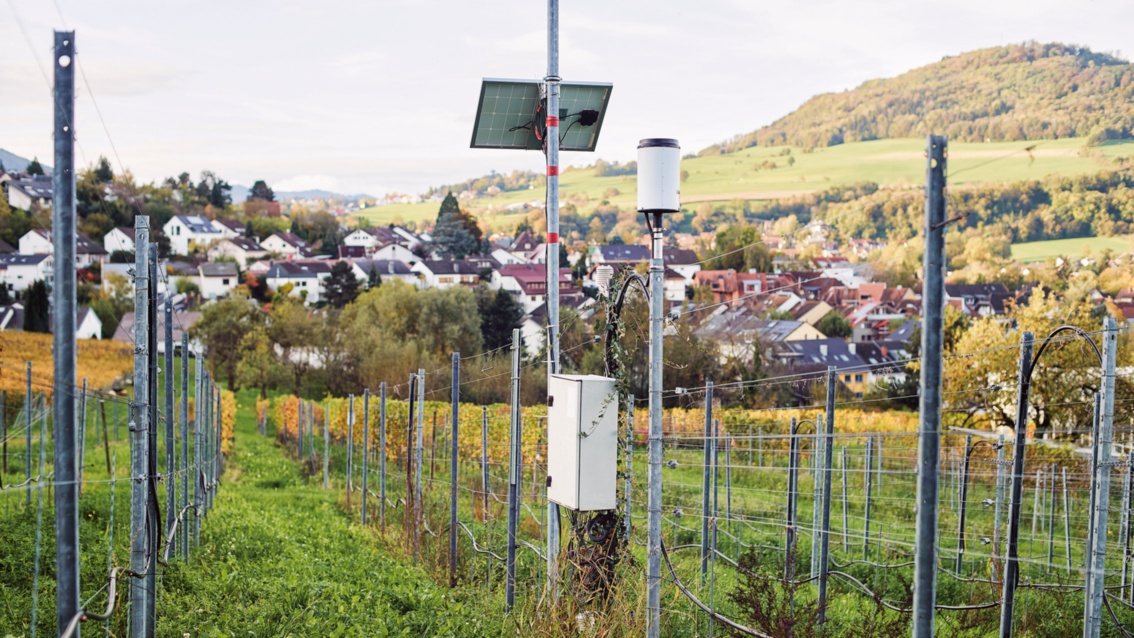 Solarbetriebene Wetterstation im Weinberg