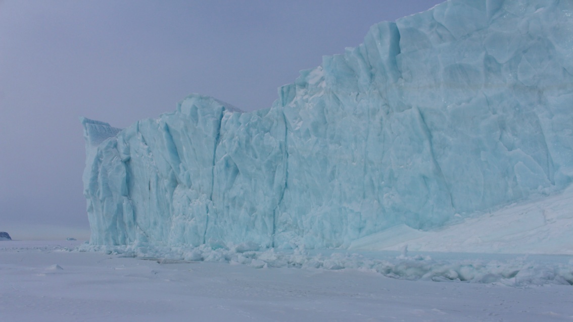 Ein eckiger Eisberg schiebt sich ins Wasser, fotografiert bei trüb-bläulichem kalten Licht.