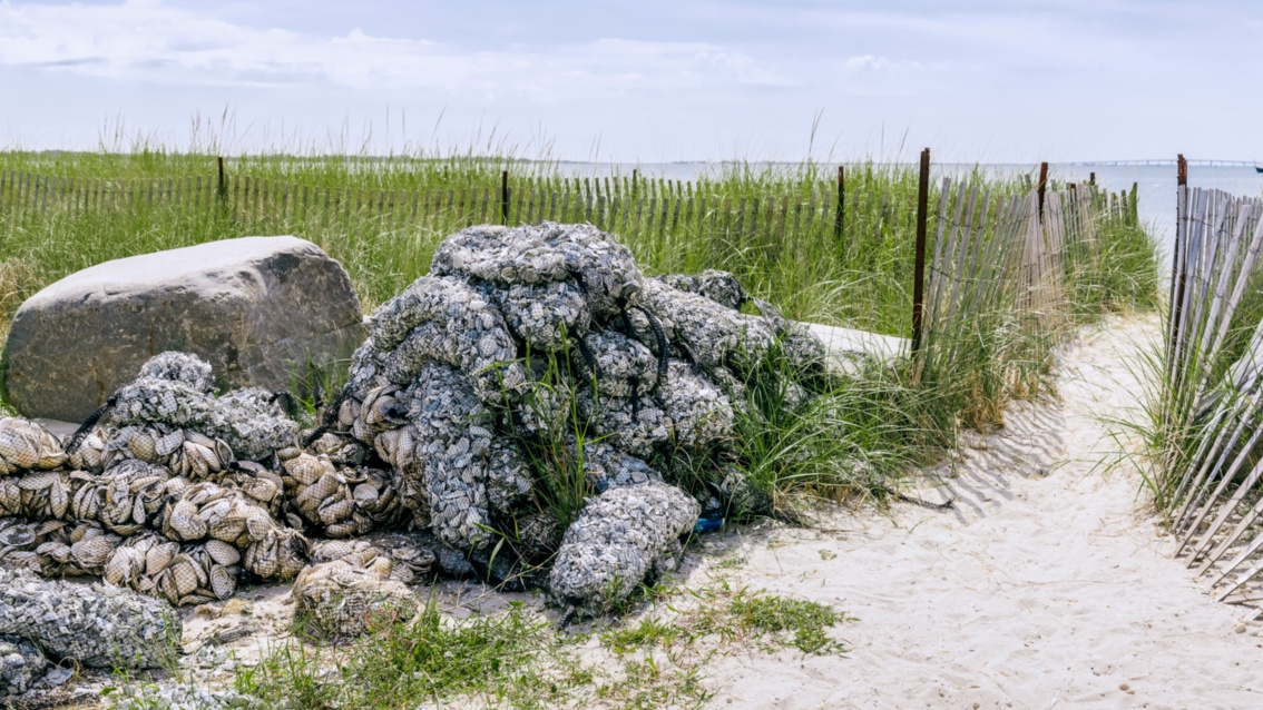 An einem Strandpfad der von Gras gesäumt ist, liegen Säcke mit Muschelschalen.