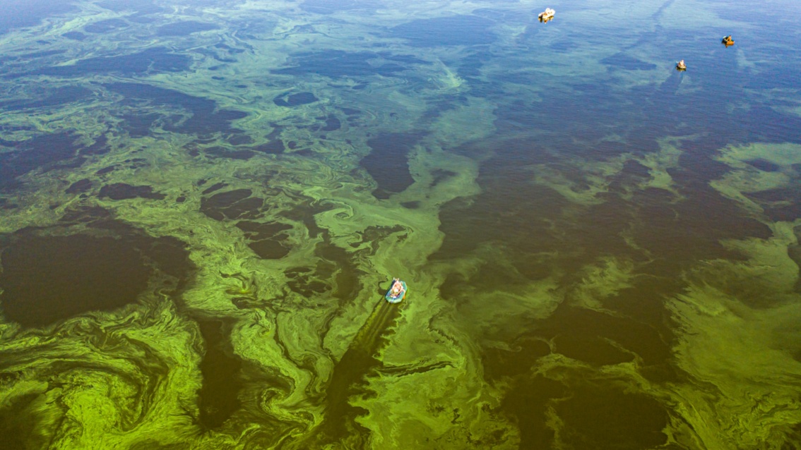 Eine Aufnahme aus der Vogelperspektive: Ein Schlauchboot gleitet durch leuchtend giftgrüne Schlieren im Wasser.