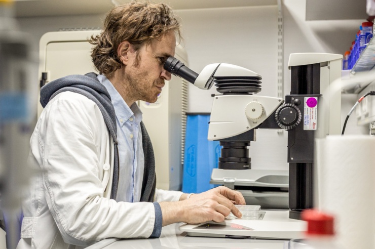 Jan-Hendrik Hehemann sitzt in einem kleinen Laborraum am Mikroskop.
