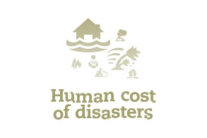 Schrift-Bild-Marke des «Disasters Report»