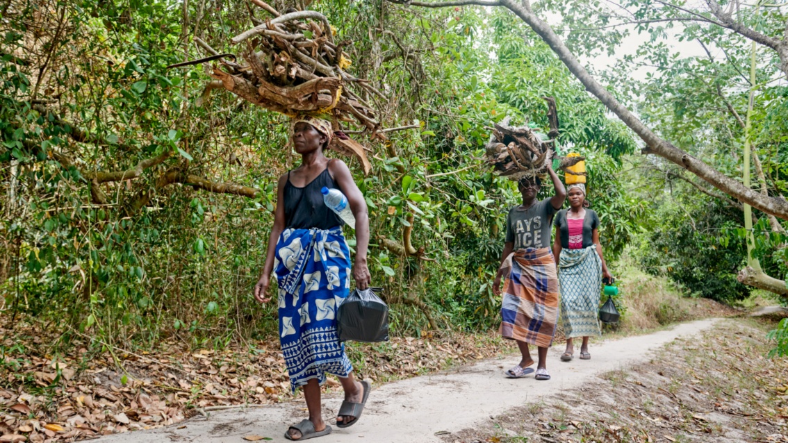 Drei Frauen sind auf einem Fußpfad im Wald unterwegs, auf ihren Köpfen balancieren sie große Bündel aus Kleinholz.