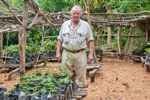 Ein älterer weißer Mann steht inmitten zahlreicher junger Pflanzen.