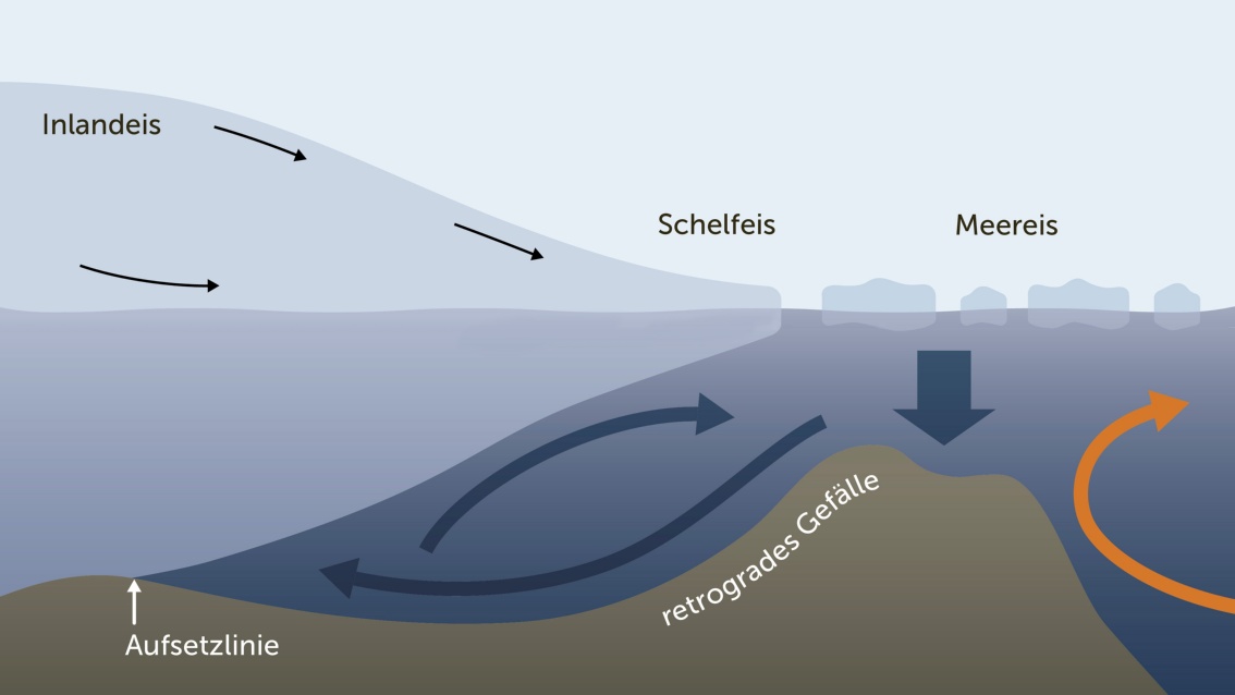 Querschnitt der antarktischen Küste: vermerkt sind Strömungsrichtungen und die Positionen von Schelf- und Meereis.