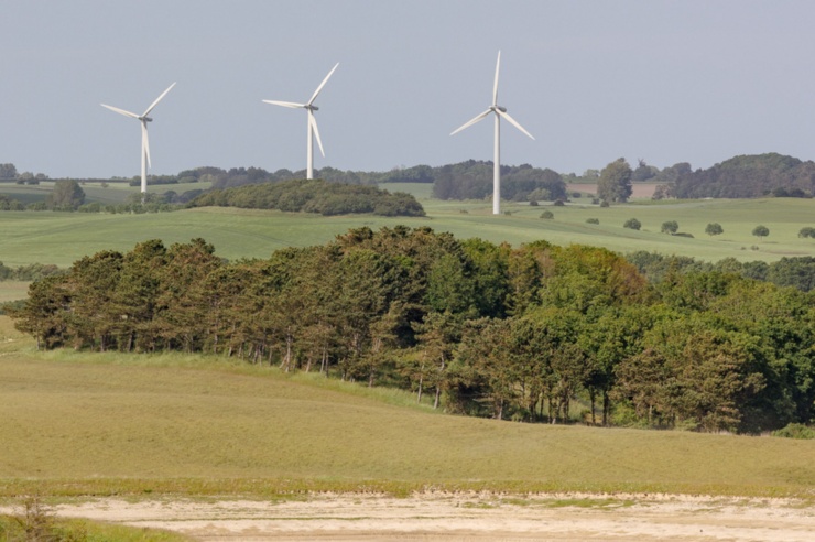 Landscape shot: Three wind turbines stand between fields and small woods.