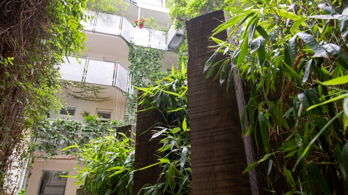 In einem Innenhof gedeihen zahlreiche Pflanzen. Im Vordergrund steht Bambus, auch einige der Balkone sind begrünt. 