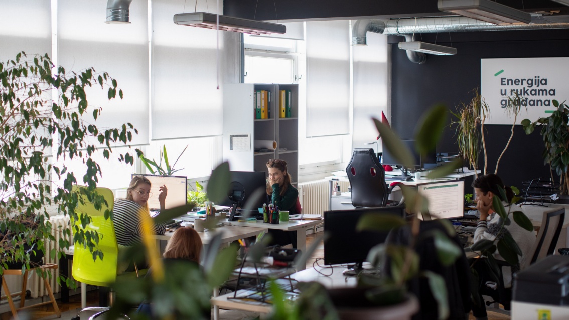 Employees sit at their desks in an open-plan office, with large indoor plants around them.