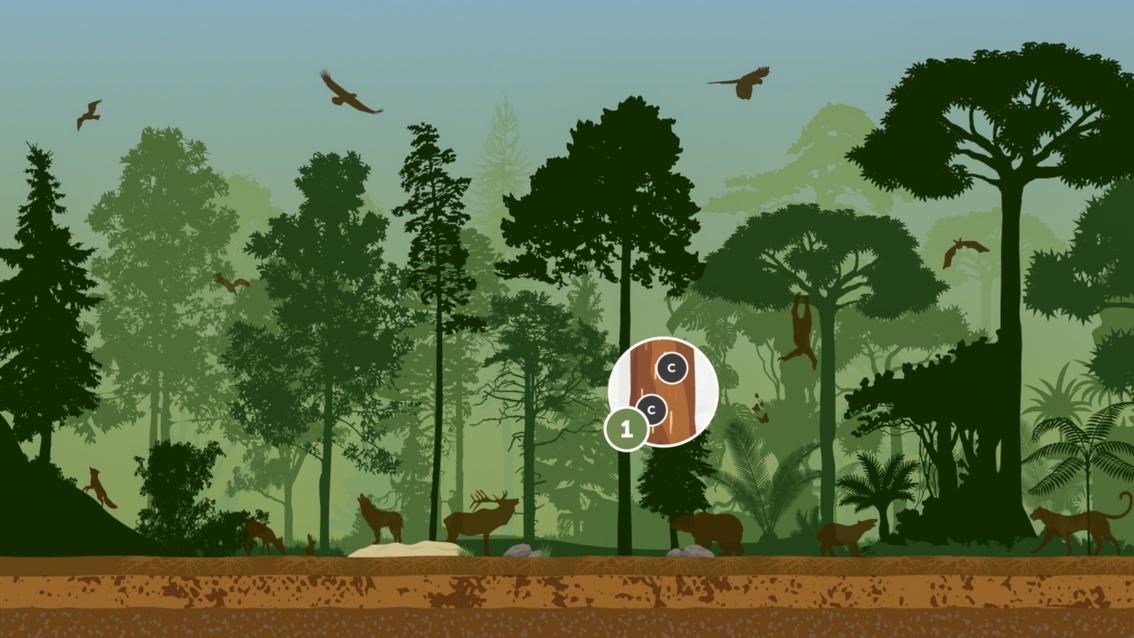Eine Illustration skizziert die Wälder und seine Bewohner: Eine Lupe zeigt den in Bäumen eingelagerten Kohlenstoff. 