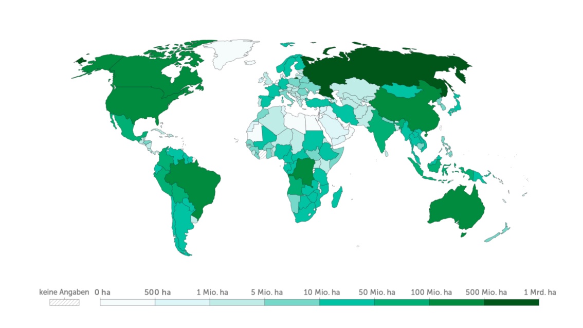 Eine zweite Weltkarte in Grüntönen zeigt die Waldflächen der Länder in absoluten Zahlen.