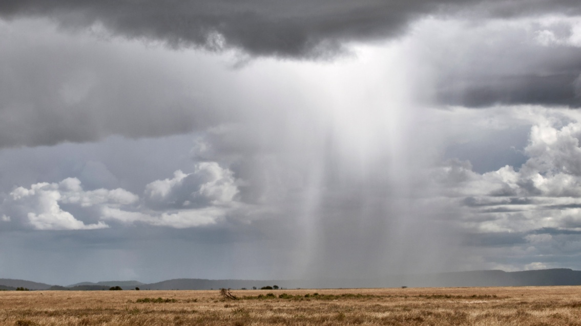 Landschaftsaufnahme: Über der Savanne hängen mächtige Regenwolken, teilweise kommt es zu Niederschlag.