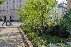 Entlang einer Straße in einer Stadt, ist eine große Fläche mit Büschen und anderen Pflanzen angelegt.