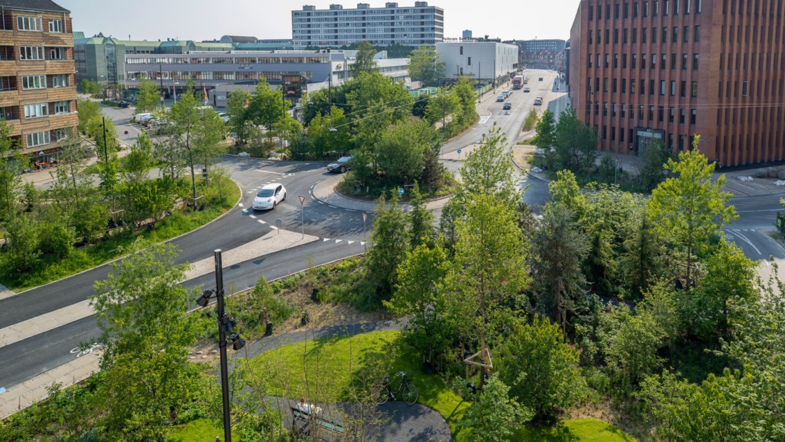 Ein Kreisverkehr und ein Straßenzug in einem städtischen Umfeld. Im Vordergrund bestimmen Bäume und Büsche das Bild.